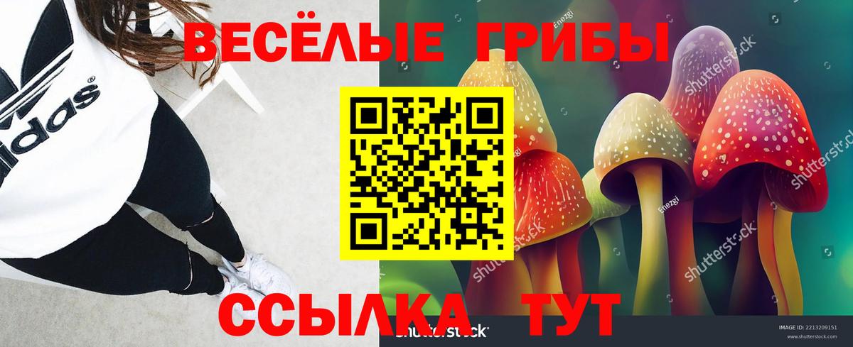 Североуральск  Псилоцибиновые грибы мухоморы  купить наркотики сайты  Галлюциногенные грибы Psilocybe  Вход с VPN 