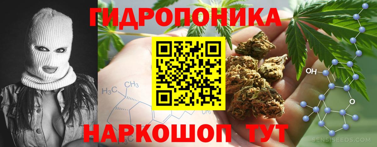 Бошки Шишки AK-47  Вход с VPN  Марихуана MAZAR  Североуральск  Бошки марихуана SATIVA & INDICA 